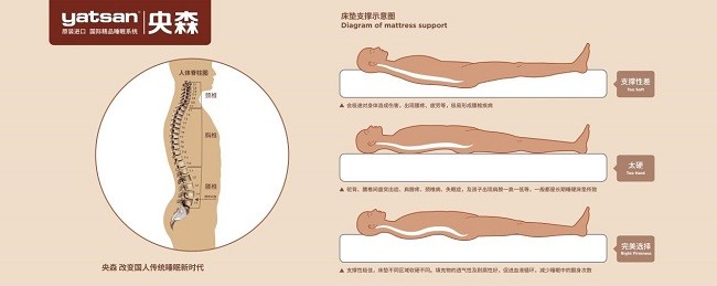 央森床垫再添新科技！灵动自感应弹簧系统实现毫秒级动态护脊