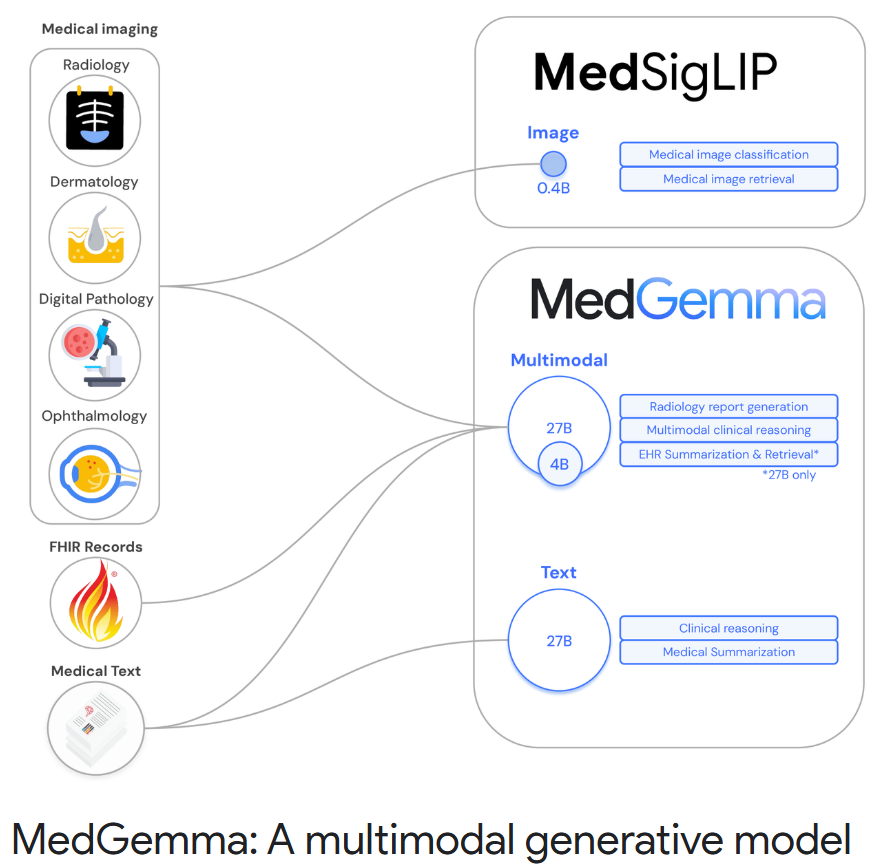 谷歌医疗AI模型MedGemma系列上新，单个GPU即可运行